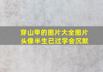 穿山甲的图片大全图片 头像半生已过学会沉默